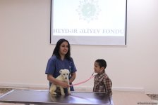 IDEA подарила детям радость дружбы с животными (ФОТО)