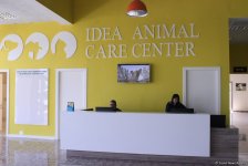 IDEA подарила детям радость дружбы с животными (ФОТО)