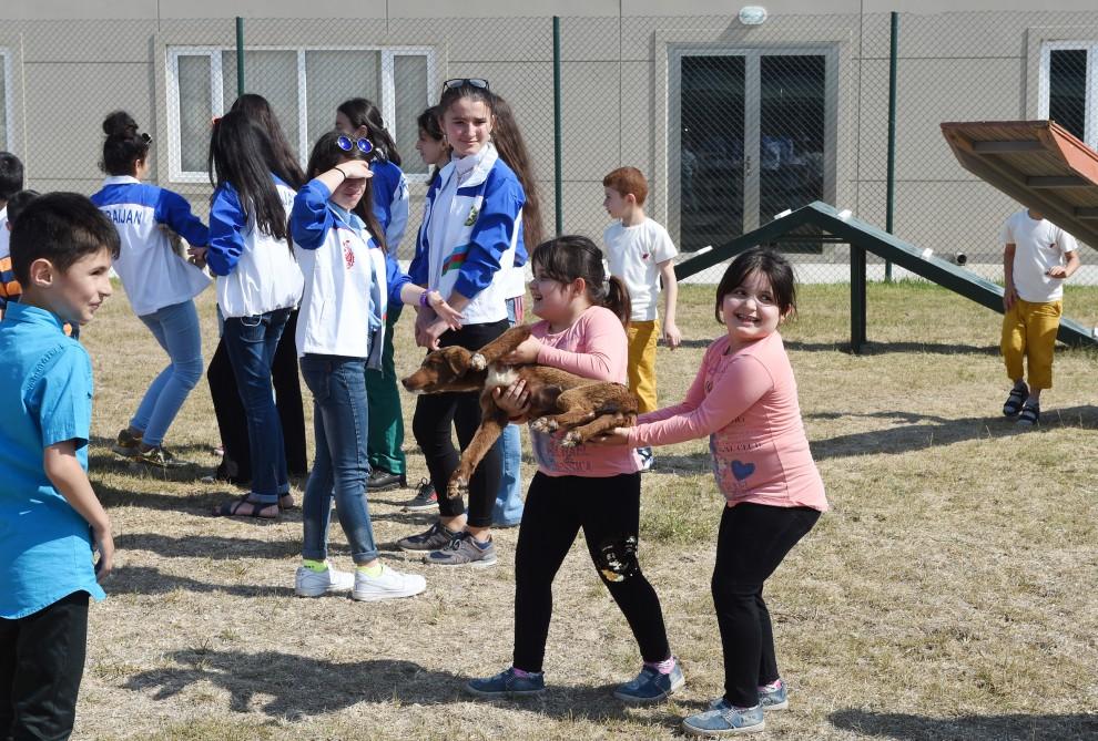 Вице-президент Фонда Гейдара Алиева Лейла Алиева приняла участие в мероприятии, организованном для детей с ограниченными возможностями здоровья в Центре по уходу за животными IDEA