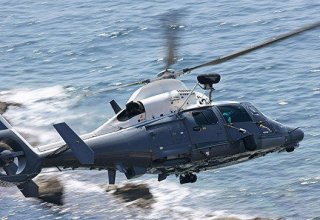 В результате падения вертолета на Синае погибли восемь человек