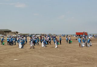IDEA и «Тамиз шахар» провели акцию по очистке бакинского пляжа