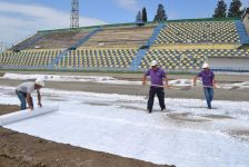 Gəncə şəhər stadionunun ot örtüyü dəyişdirilir (FOTO)