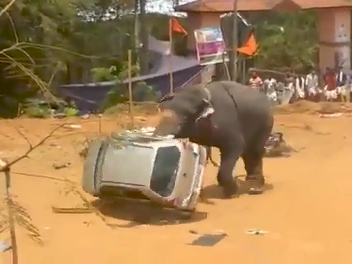 Hindistanda qəzəblənmiş fil avtomobili aşırdı (VİDEO)
