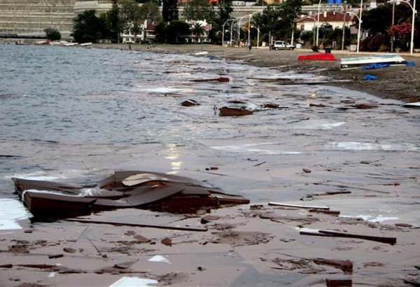 Bursa'da çevre felaketi! Binlerce ton kıyıya vurdu