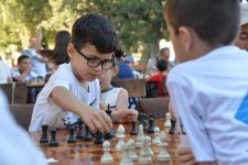В парке Центра Гейдара Алиева прошел турнир «Моя шахматная семья» (ФОТО)