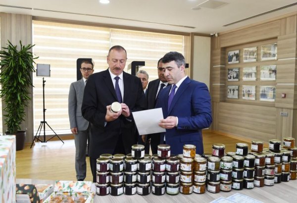 Ilham Aliyev inaugurates ABAD Center in Balakan (PHOTO)
