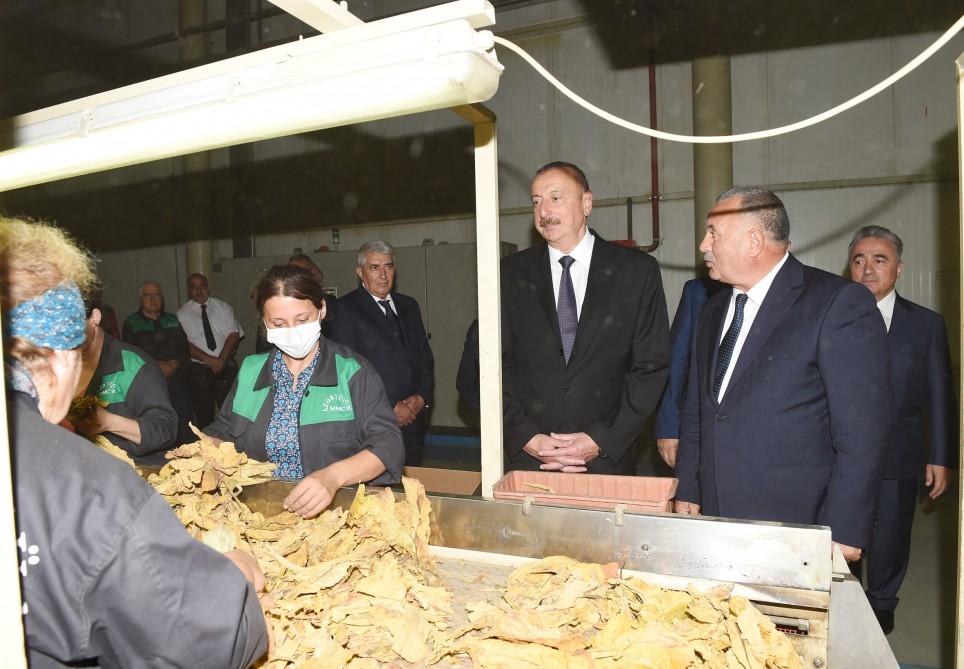 Президент Ильхам Алиев ознакомился с деятельностью завода по переработке табака в Загатала (ФОТО)