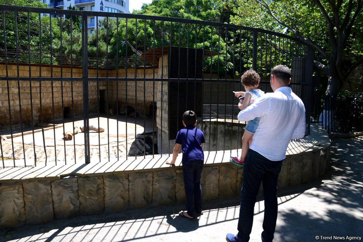 Turistlərin daha çox üz tutduğu məkanlardan biri Bakı Zooparkıdır (FOTO)