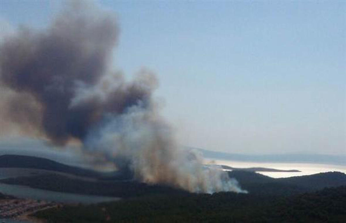 Ayvalık'ta orman yangını (FOTO)