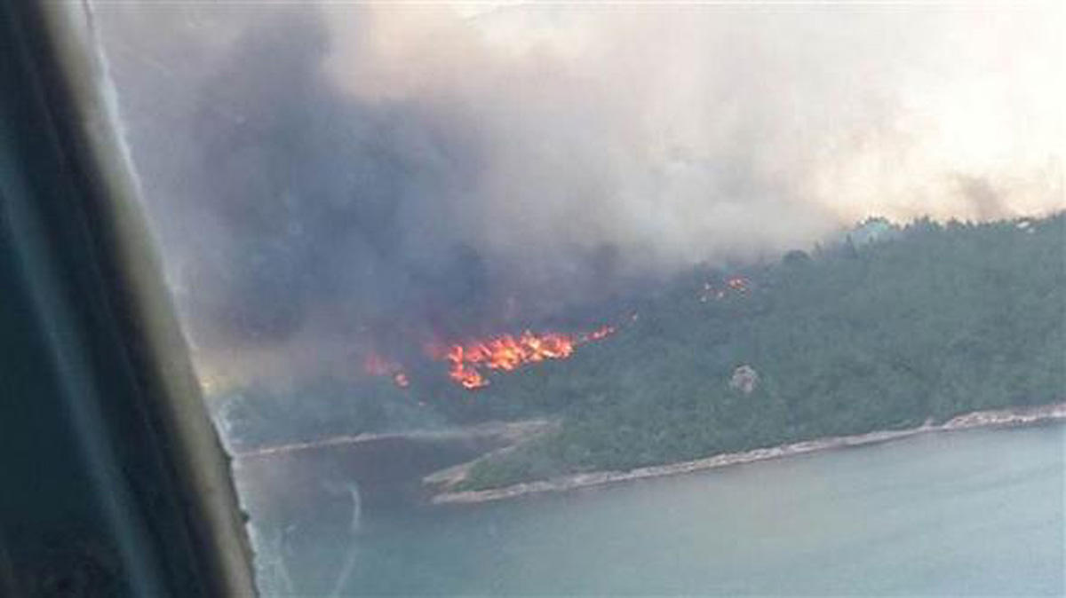 Ayvalık'ta orman yangını (FOTO)