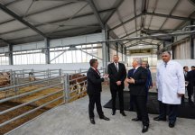 President Aliyev inaugurates Republican Artificial Insemination Center (PHOTO)