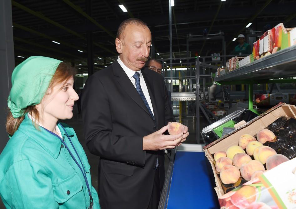 President Ilham Aliyev attends inauguration of Logistics Center of Shamkir Agropark (PHOTO)