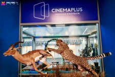 "CinemaPlus Azerbaijan"da "Peru" sənədli filminin premyera öncəsi nümayişi olub