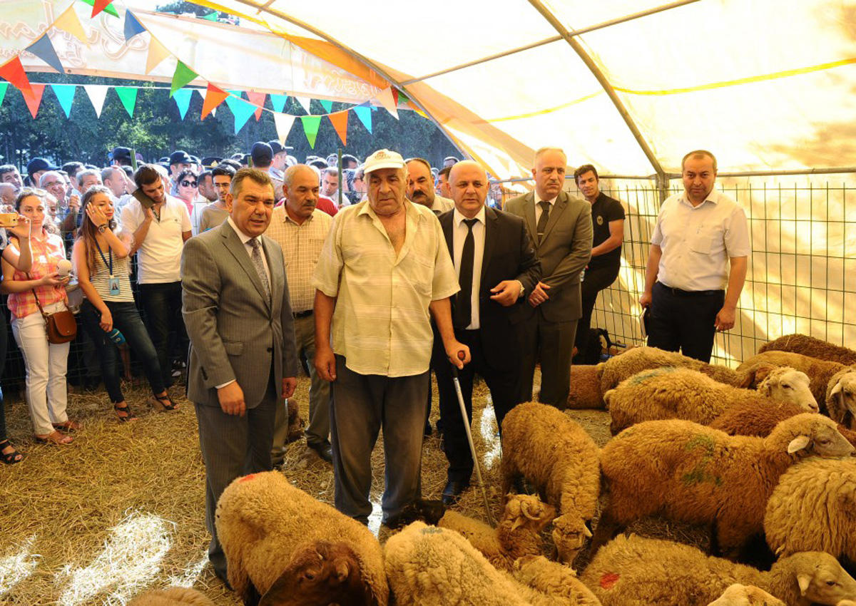 В Баку организованы ярмарки по продаже жертвенных животных (ФОТО)