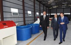 President Ilham Aliyev views rice paddies and opens rice plant in Lankaran (PHOTO)