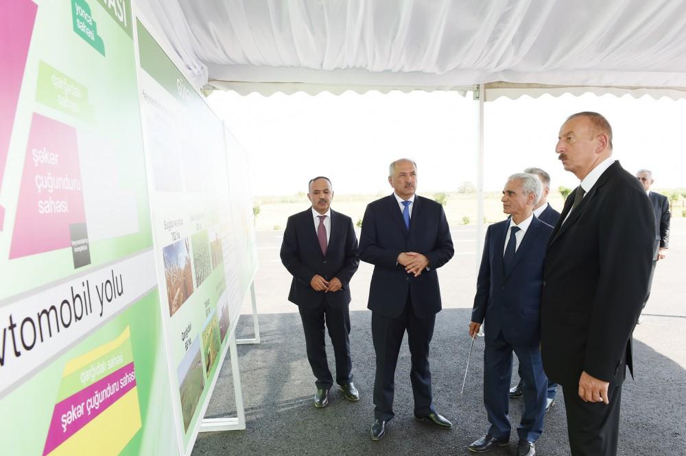 Prezident İlham Əliyev Cəlilabadda “Günəşli-Aqro” MMC-nin aqroparkında yaradılan şəraitlə tanış olub (FOTO)