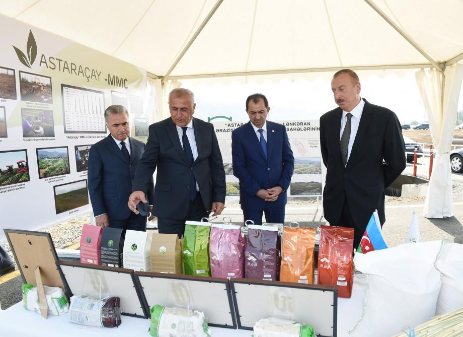 Prezident İlham Əliyev Lənkəranda “Astara Çay” MMC-nin çay plantasiyalarına baxıb (FOTO)