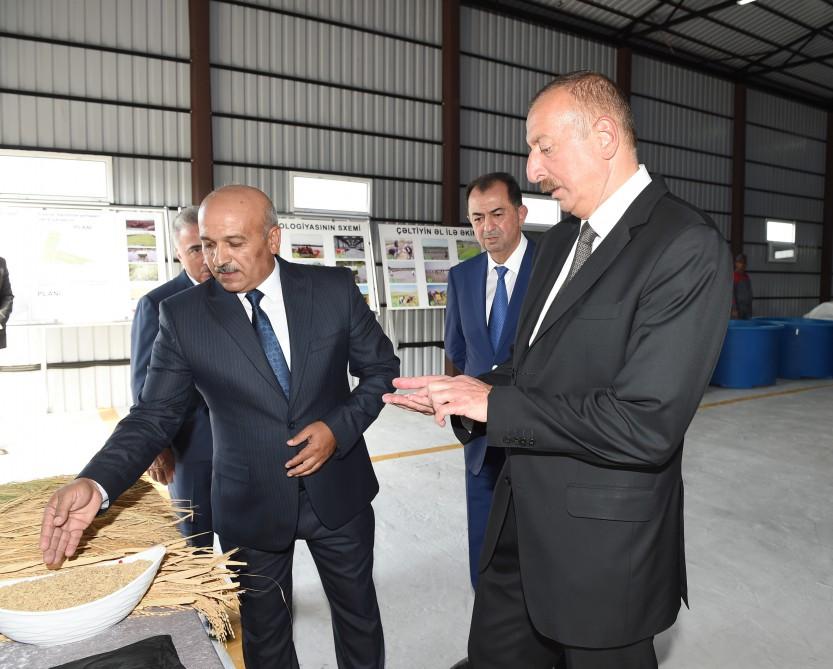 President Ilham Aliyev views rice paddies and opens rice plant in Lankaran (PHOTO)