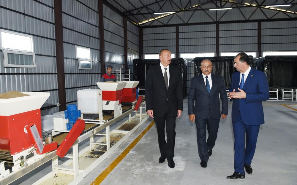 President Ilham Aliyev views rice paddies and opens rice plant in Lankaran (PHOTO)