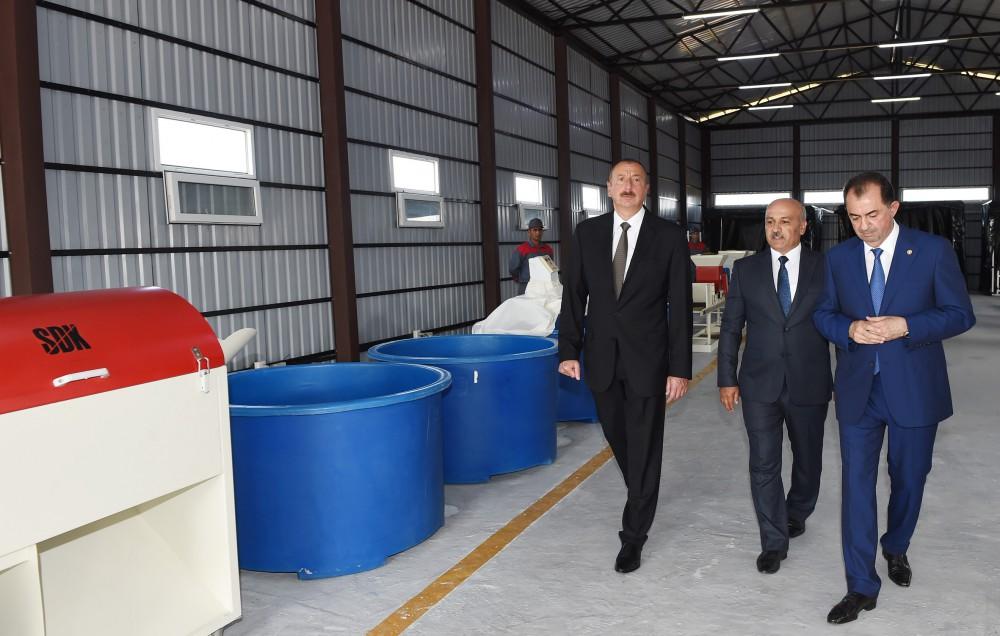 Президент Ильхам Алиев посмотрел рисовые участки ООО «Джануб-Агро» и открыл рисовый завод в Лянкяране (ФОТО)