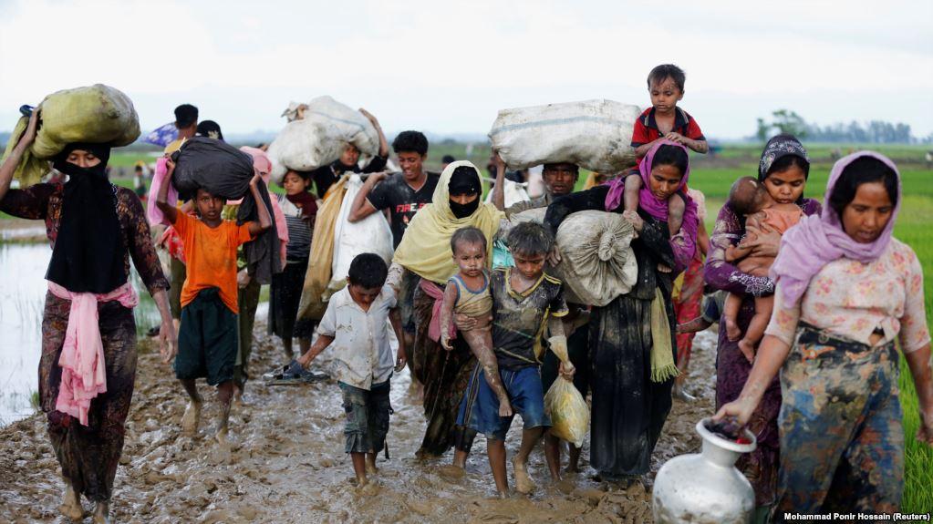 589,000 Rohingyas have fled to Bangladesh