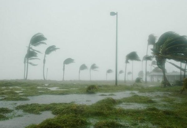 Ущерб от урагана "Нэйт" в США составит около $500 млн