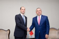 Главы МИД Турции и Грузии обсуждают в Баку региональное сотрудничество (ФОТО)