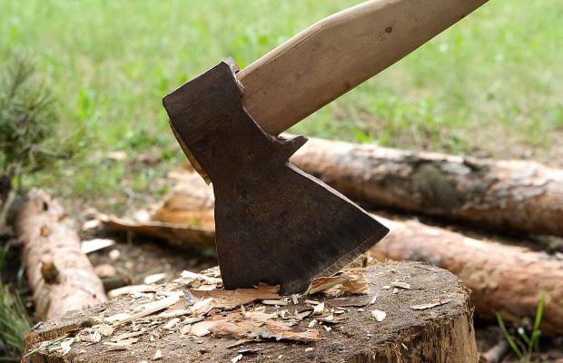 В Сумгайыте строительный кооператив оштрафован за вырубку деревьев