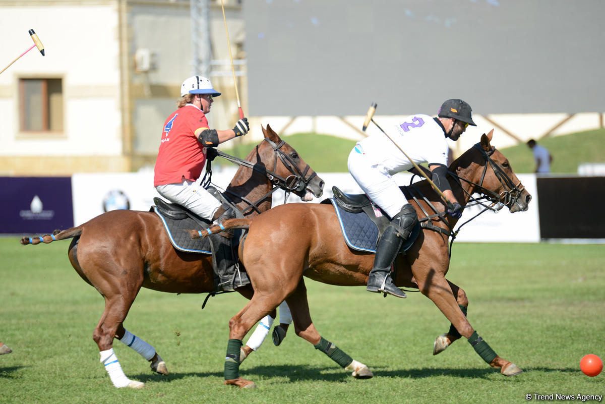 Azərbaycanın polo komandası Dünya Kubokunun qalibi olub (FOTO)