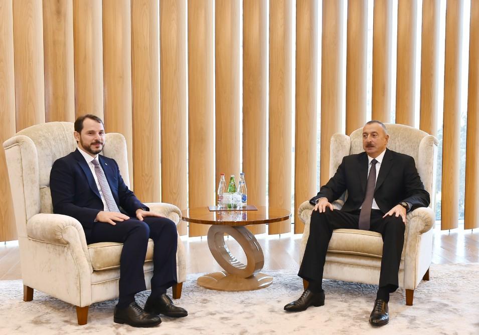 Azerbaijani president meets Turkish minister of energy, natural resources