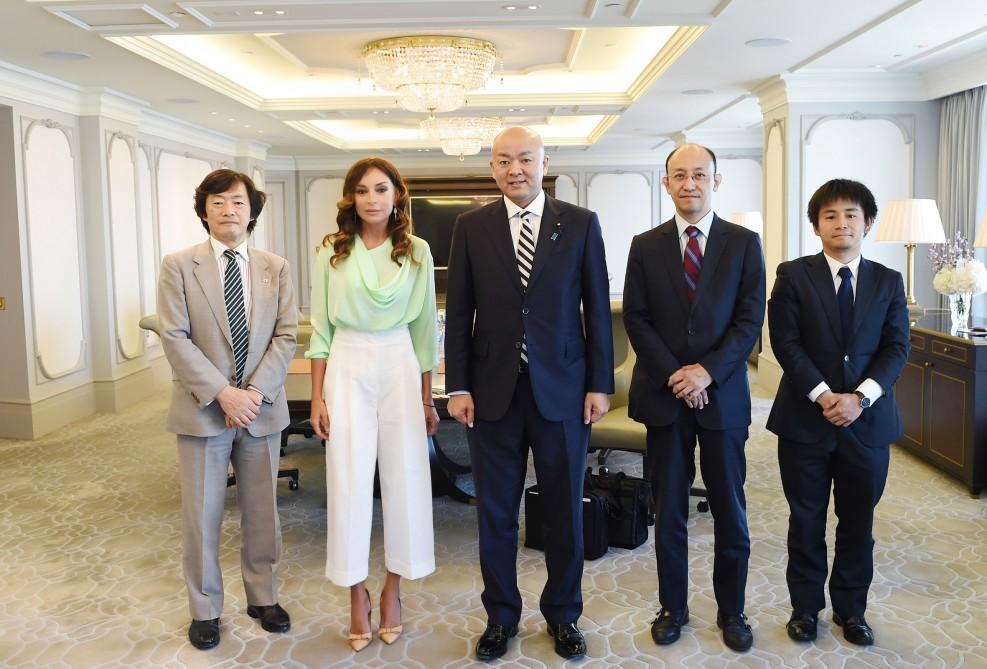 Первый вице-президент Мехрибан Алиева встретилась с парламентским заместителем министра иностранных дел Японии (ФОТО) (версия 2)