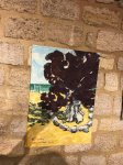 Знойное солнце, инжировые деревья, дачные домики Абшерона (ФОТО)