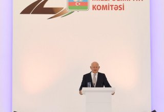 Успехи, достигнутые азербайджанским народом в области спорта, фантастические - исполнительный президент ЕОК