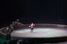 При поддержке Фонда Гейдара Алиева воспитанники детских домов посмотрели цирковую программу "Форсаж шоу" (ФОТО)