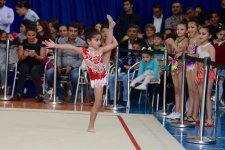 Baku hosts open championship in rhythmic gymnastics (PHOTO)