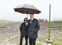 Президент Ильхам Алиев и его супруга ознакомились с новосозданным Шамахинским сафари-парком (ФОТО)