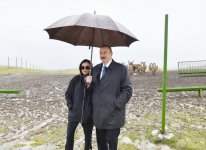 Prezident İlham Əliyev və birinci xanım yeni yaradılan Şamaxı Safari Parkı ilə tanış olublar (FOTO)