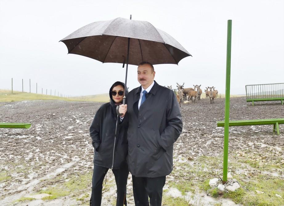 Azerbaijani president, first lady view Safari Park Shamakhi (PHOTO)