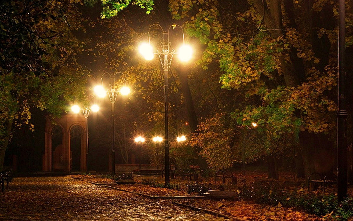 Осенняя ночь тянется медленно, кажется, ей не будет конца…- эмоции Нуры Сури и Эльшада Шукюрова (АУДИО)