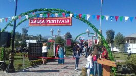 Qubada “Alma bayramı” və “Xalça festivalı” (FOTO)