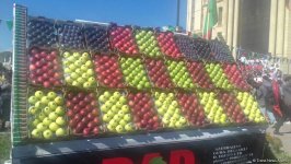 В Губе проходит красочный Фестиваль яблок и ковра (ФОТО)