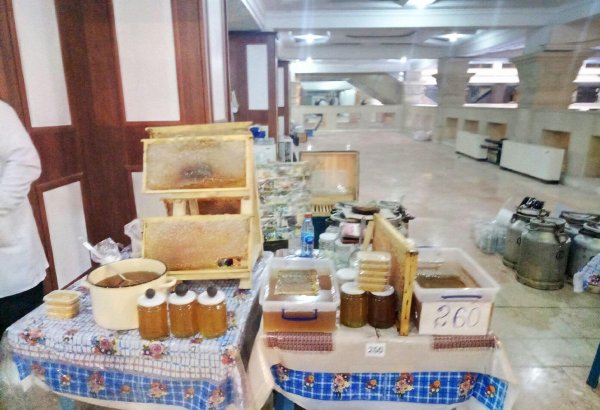 На выставке меда в Баку участвуют пчеловоды из всех экономических районов Азербайджана