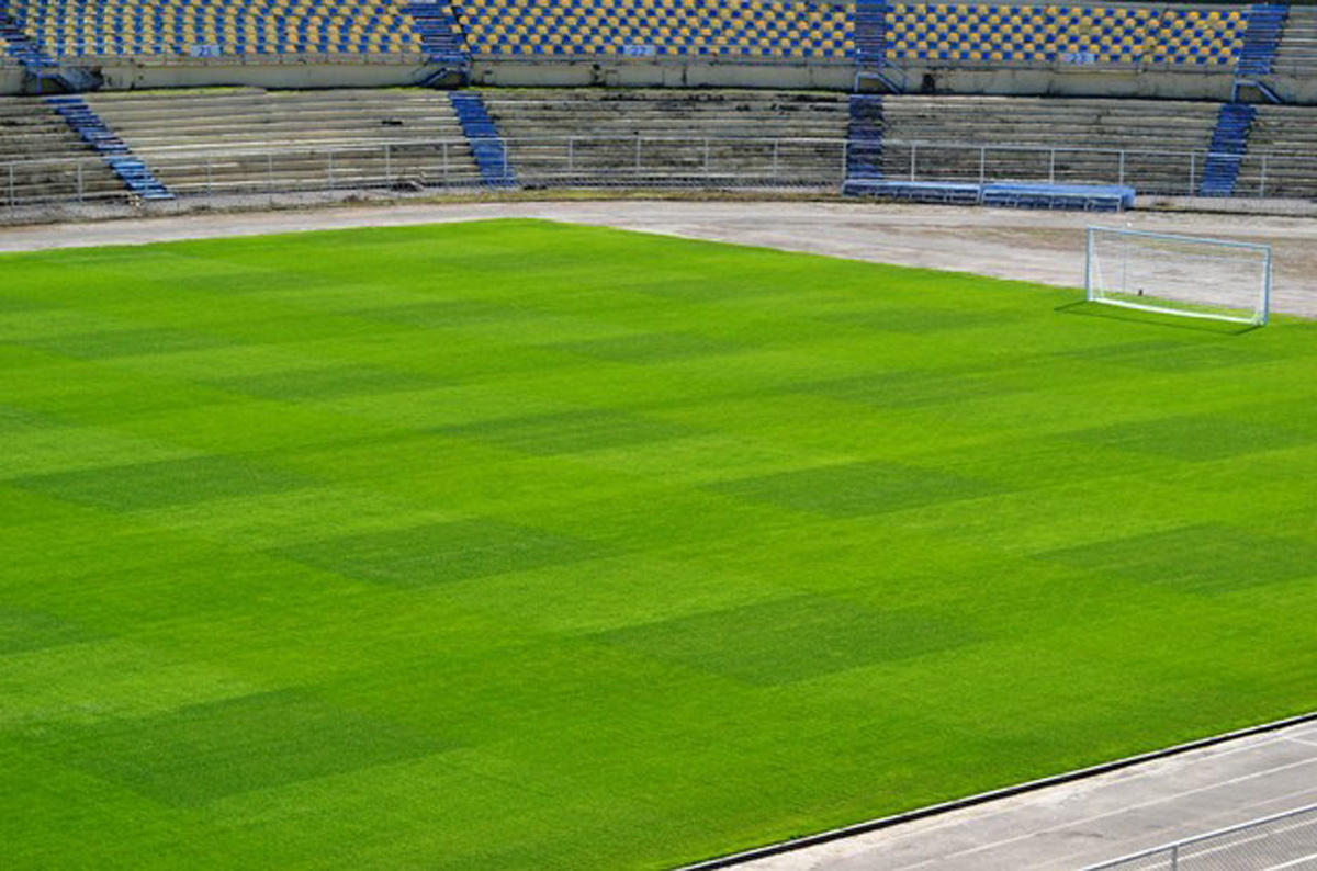 Gəncə stadionunun ot örtüyünün dəyişdirilməsi başa çatdı (FOTO)