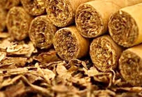 Azerbaijan sends samples of local tobacco to Brazil, Germany