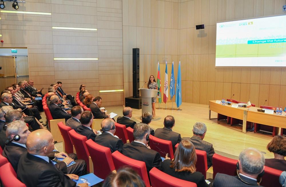 Вице-президент Фонда Гейдара Алиева: Продовольственная безопасность важна для обеспечения мира, стабильности и устойчивости (ФОТО)