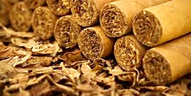 Azerbaijan sends samples of local tobacco to Brazil, Germany