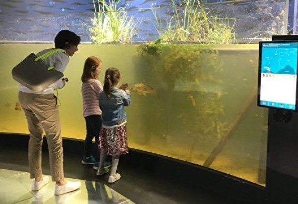 В Лозанне открылся крупнейший в Европе аквариум с пресной водой
