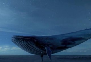 Iranian girl becomes next victim of Blue Whale “killer game”
