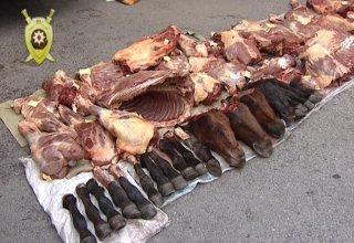 Житель Азербайджана задержан при попытке продать мясо больных лошадей (ФОТО)