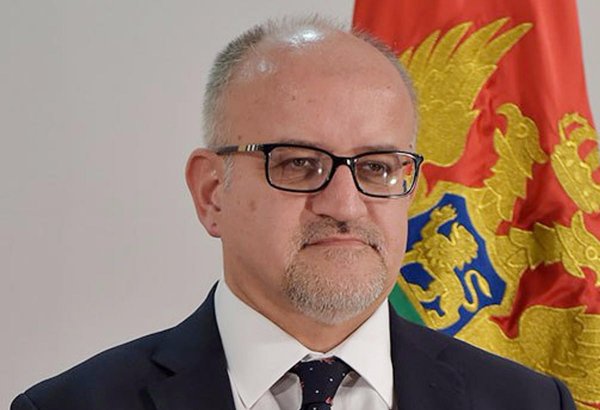 Montenegro concentrated on implementation of IAP – minister